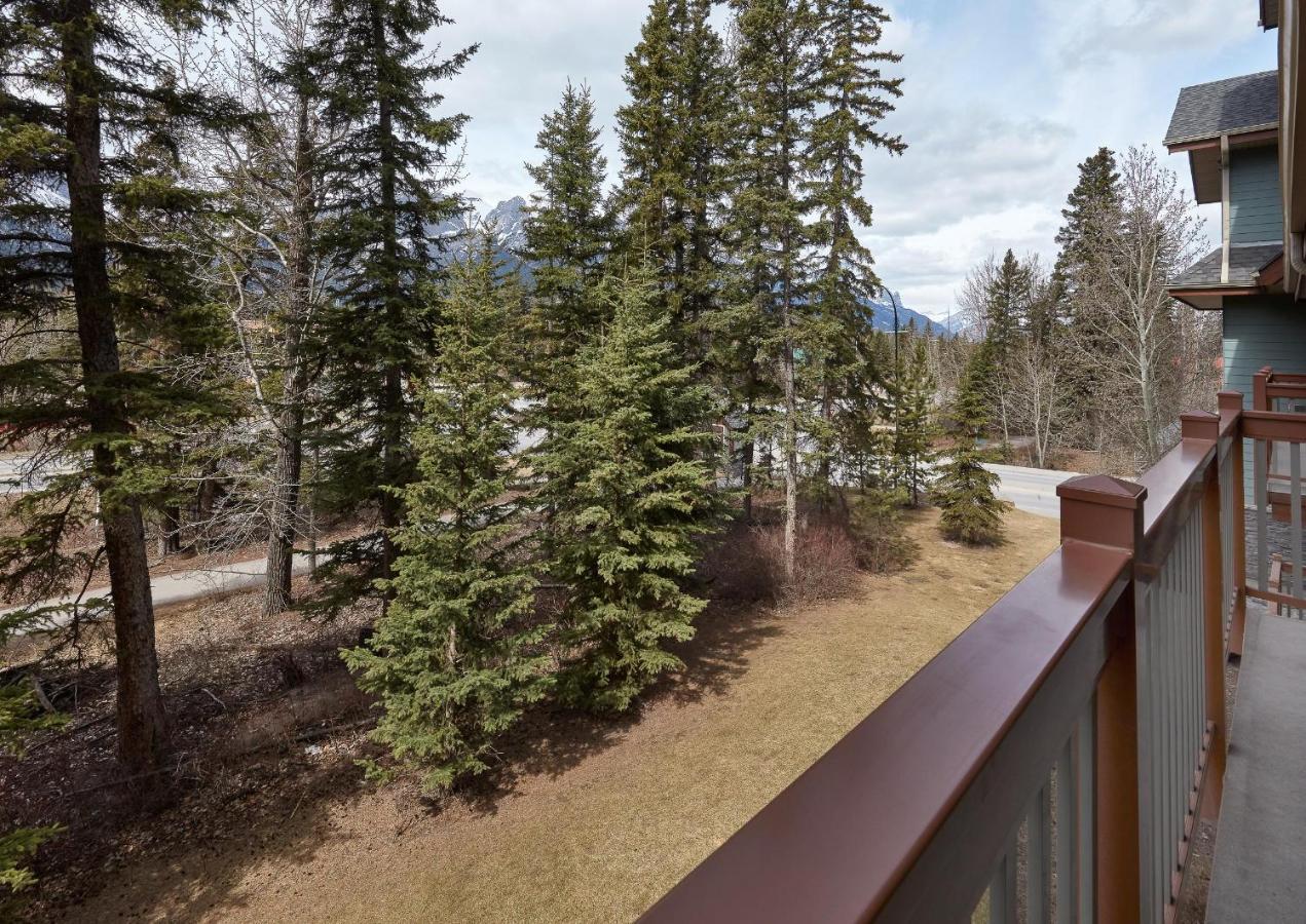Newly Renovated Grizzly Lodge, Spacious 3Br 2Ba With Open Pool, Hot Tub Canmore Eksteriør bilde