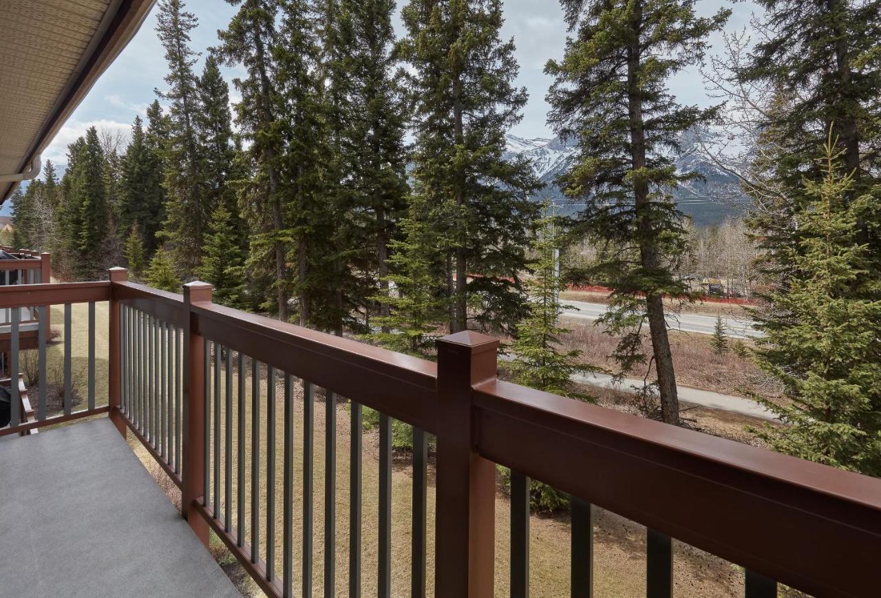 Newly Renovated Grizzly Lodge, Spacious 3Br 2Ba With Open Pool, Hot Tub Canmore Eksteriør bilde